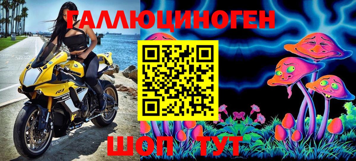 Псилоцибиновые грибы прущие грибы Новочебоксарск