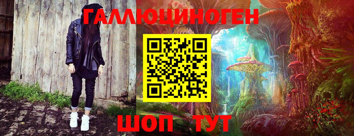 Новочебоксарск  Галлюциногенные грибы Psilocybe  Вход с VPN 